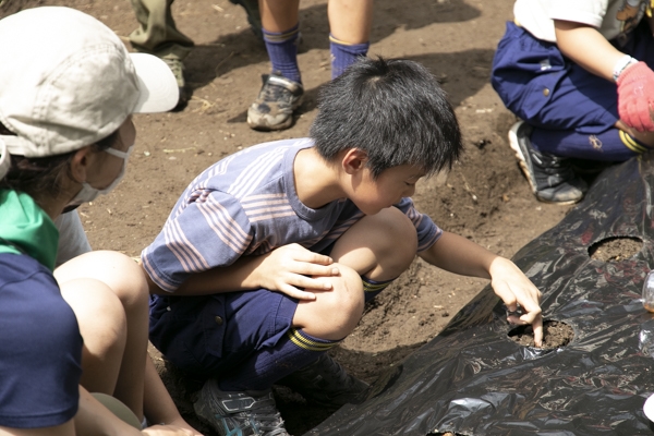 日野2団カブ隊の活動写真その24