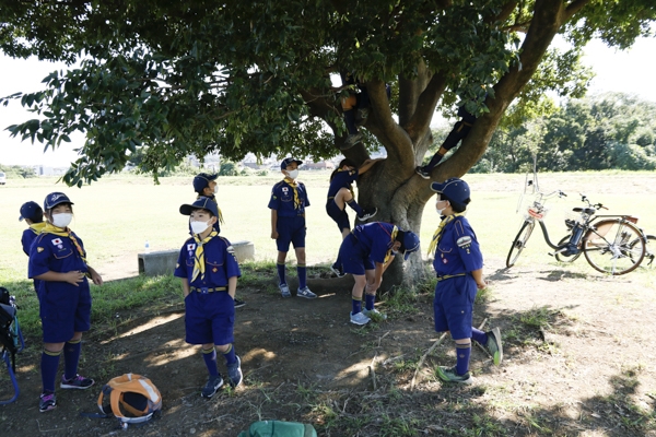 日野2団カブ隊の活動写真その1