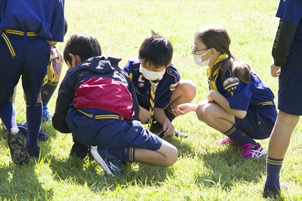 日野2団カブ隊の活動写真その7