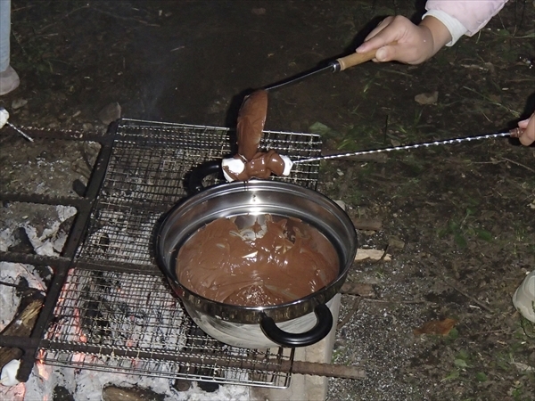 日野2団カブ隊の活動写真その41