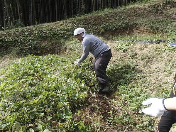 日野2団カブ隊の活動写真その21