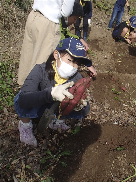 日野2団カブ隊の活動写真その24