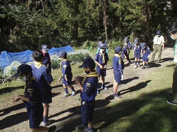 日野2団カブ隊の活動写真その32