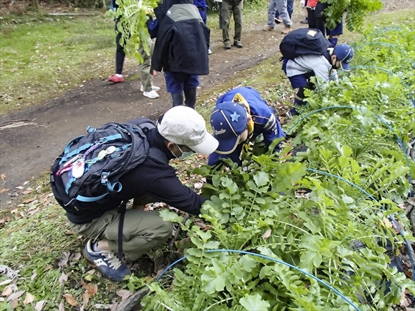 日野2団カブ隊の活動写真その38