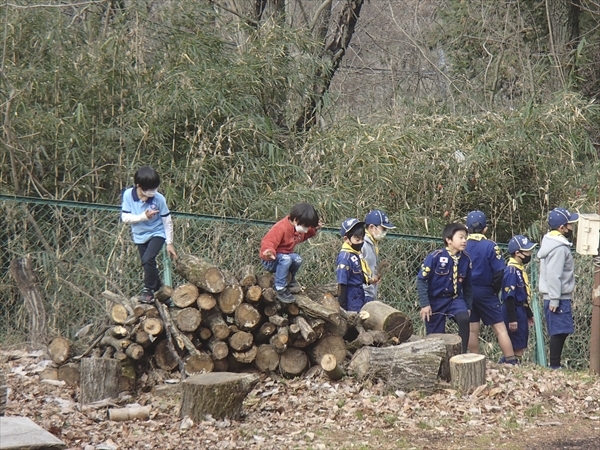 日野2団カブ隊の活動写真その4