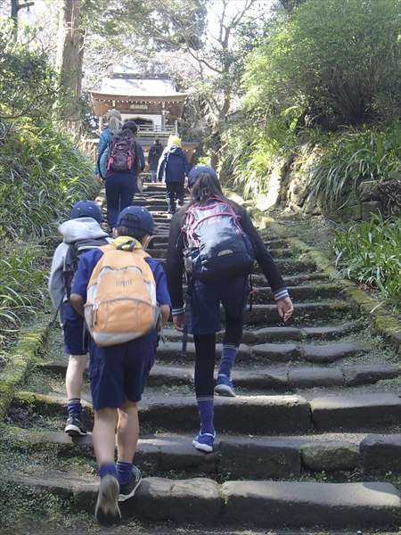 日野2団カブ隊の活動写真その11