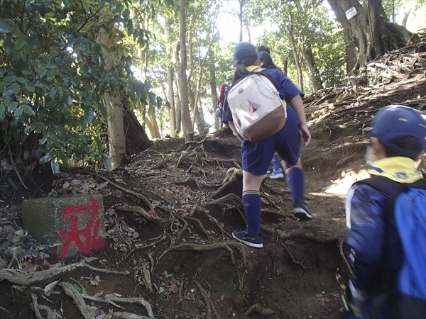 日野2団カブ隊の活動写真その14