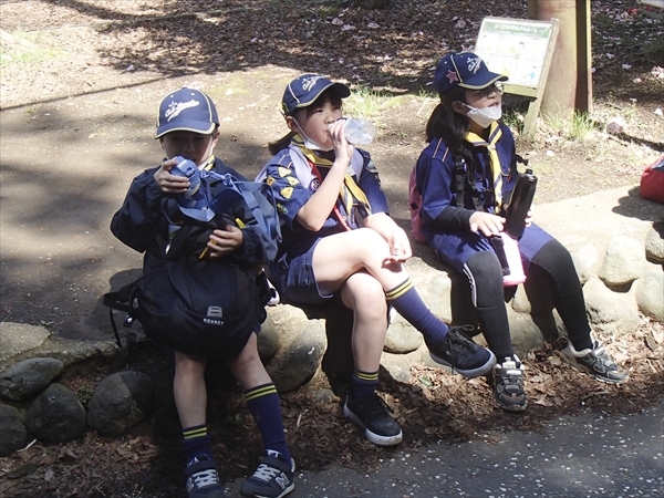 日野2団カブ隊の活動写真その23