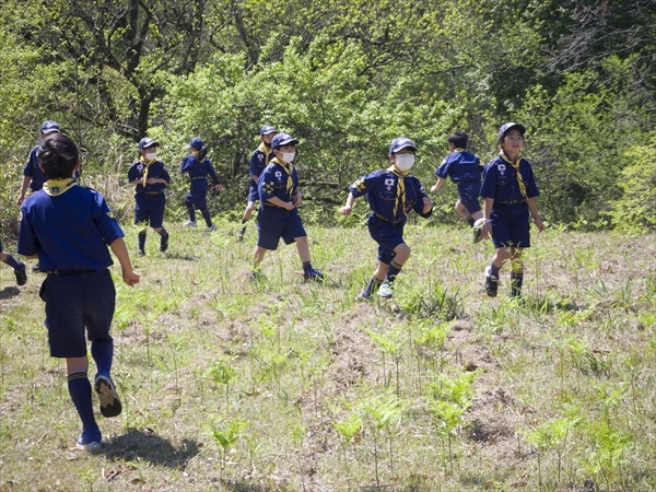 日野2団カブ隊の活動写真その37