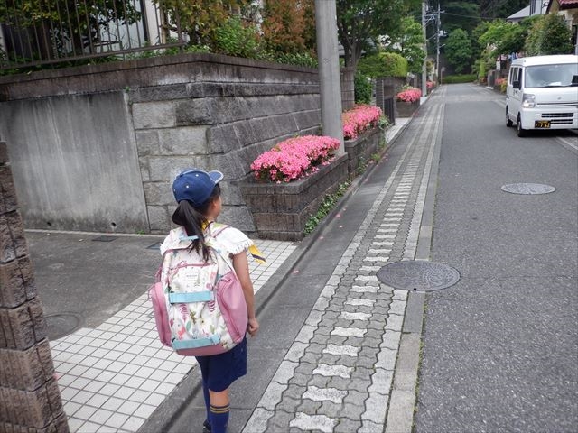 日野2団カブ隊の活動写真その27