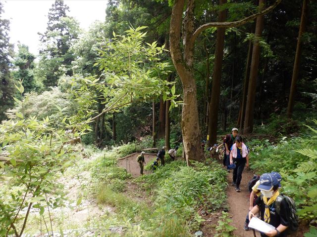 日野2団カブ隊の活動写真その17