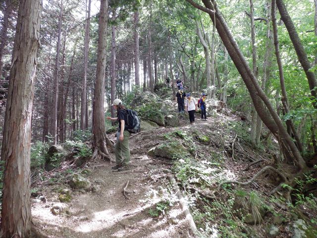 日野2団カブ隊の活動写真その39