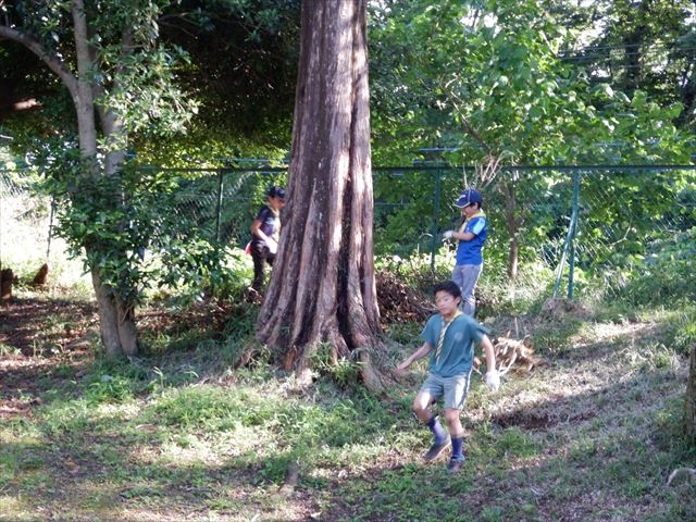 日野2団カブ隊の活動写真その30