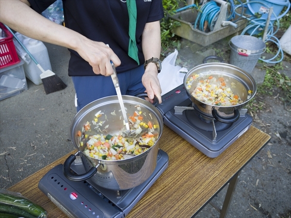 日野2団カブ隊の活動写真その10