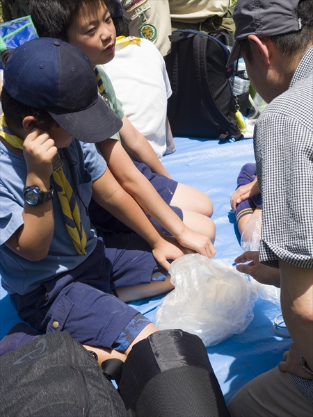 日野2団カブ隊の活動写真その39