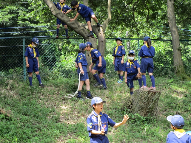 日野2団カブ隊の活動写真その1