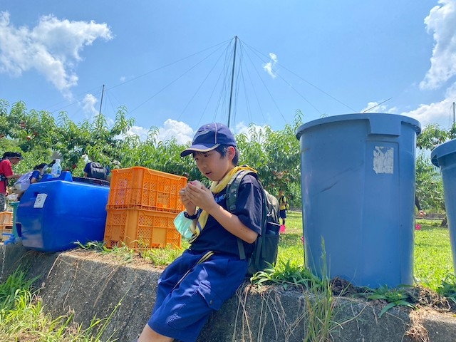 日野2団カブ隊の活動写真その4