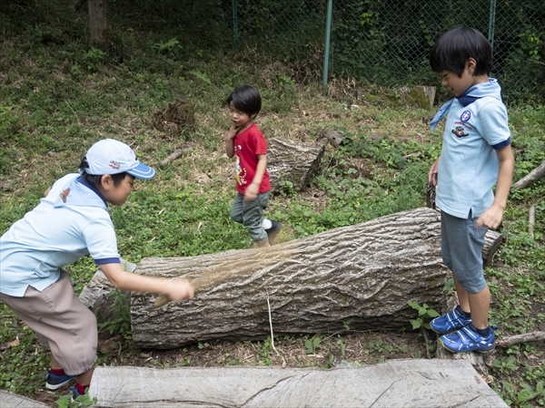 日野2団カブ隊の活動写真その4