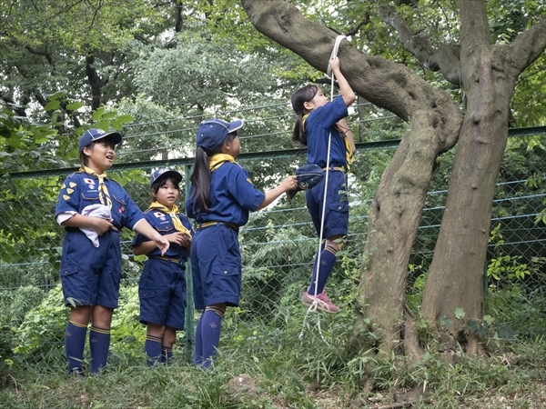 日野2団カブ隊の活動写真その5