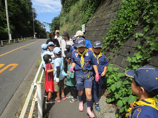 日野2団カブ隊の活動写真その17