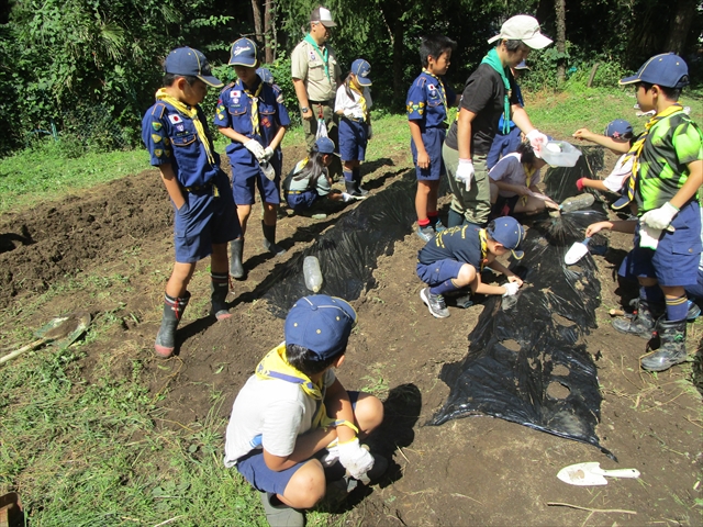 日野2団カブ隊の活動写真その33