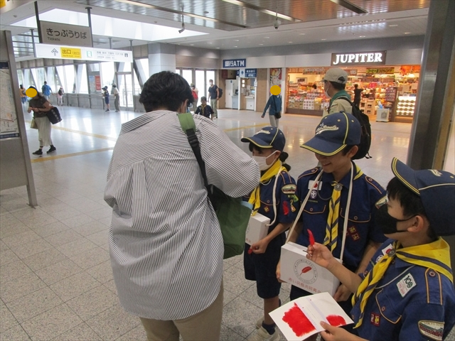 日野2団カブ隊の活動写真その11