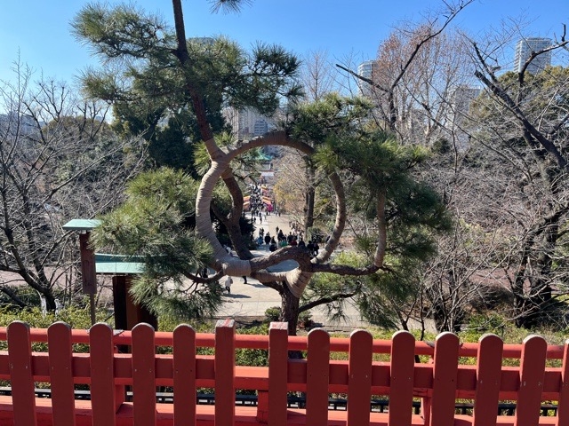 日野2団カブ隊の活動写真その9