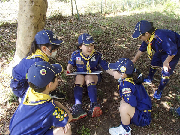 日野2団カブ隊の活動写真その12