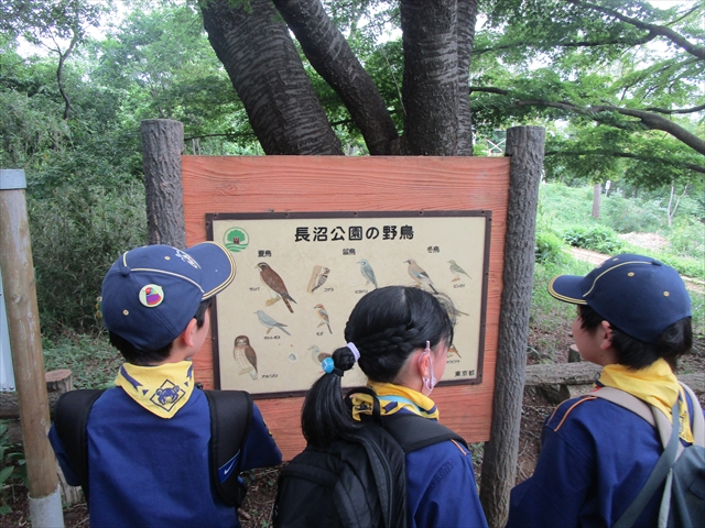 日野2団カブ隊の活動写真その12