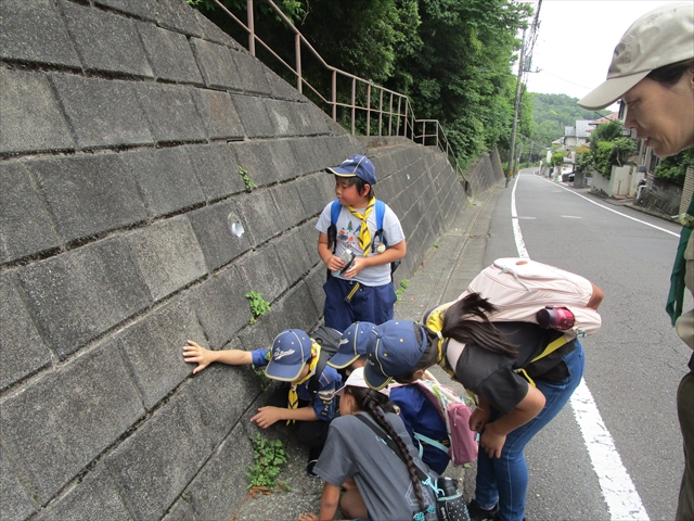 日野2団カブ隊の活動写真その14