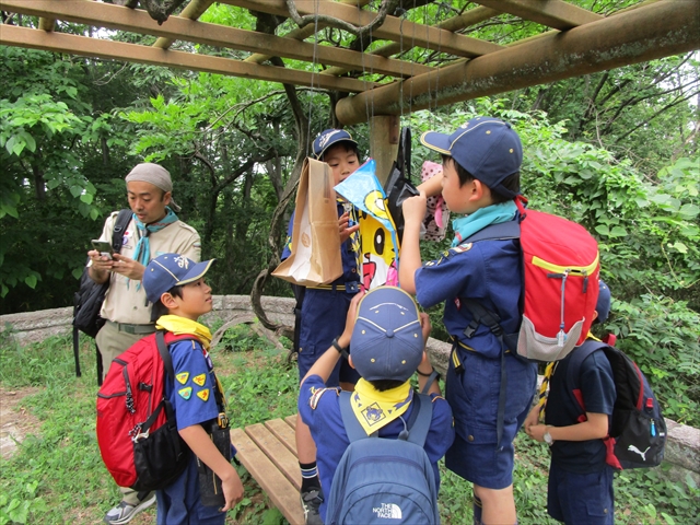 日野2団カブ隊の活動写真その19