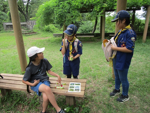 日野2団カブ隊の活動写真その21