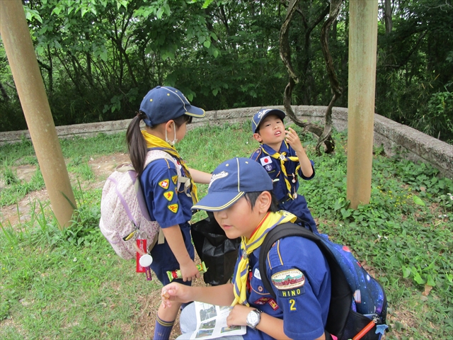 日野2団カブ隊の活動写真その26