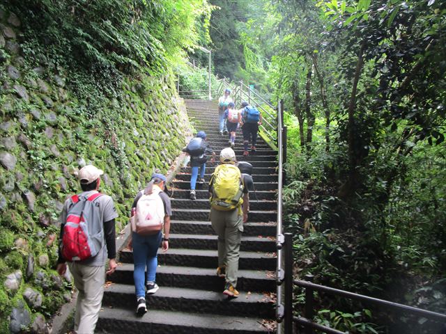 日野2団カブ隊の活動写真その11