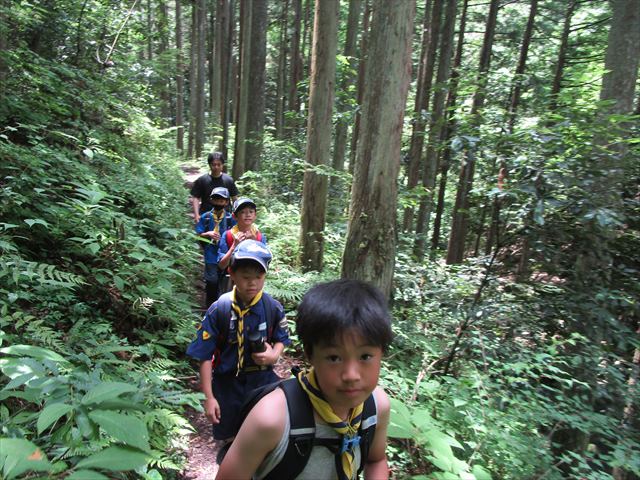 日野2団カブ隊の活動写真その31