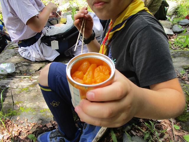 日野2団カブ隊の活動写真その35