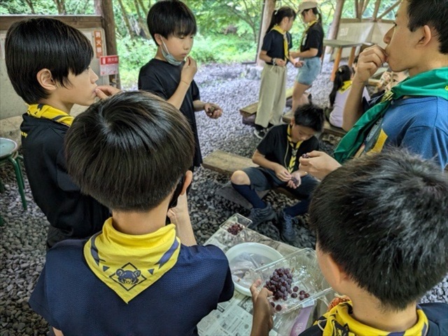 日野2団カブ隊の活動写真その28