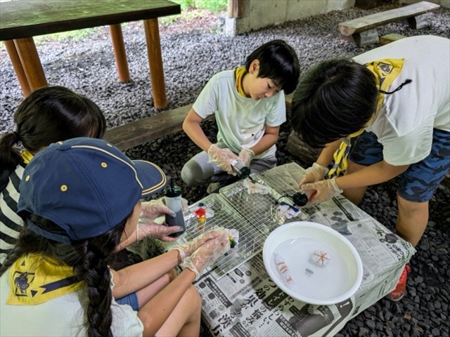 日野2団カブ隊の活動写真その30