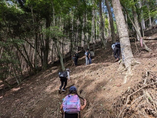 日野2団カブ隊の活動写真その14