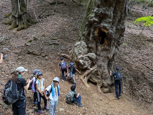 日野2団カブ隊の活動写真その30