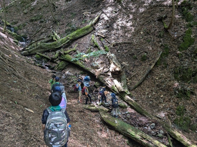 日野2団カブ隊の活動写真その32