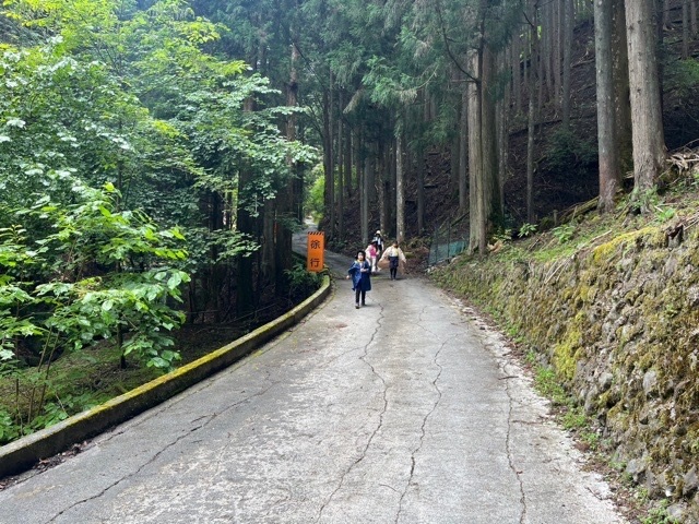 日野2団カブ隊の活動写真その33