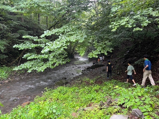 日野2団カブ隊の活動写真その35