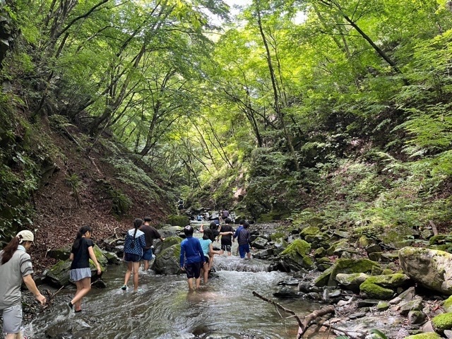 日野2団カブ隊の活動写真その26