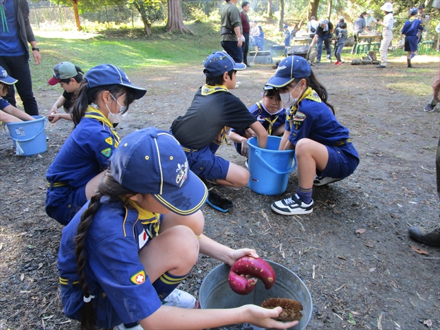 日野2団カブ隊の活動写真その11