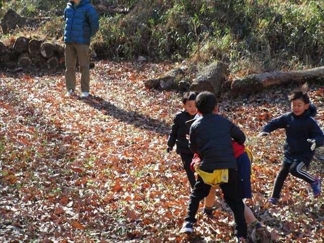 日野2団カブ隊の活動写真その6