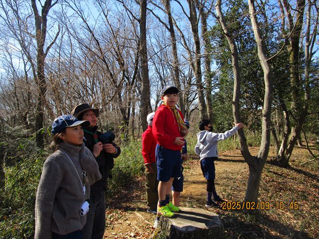 日野2団カブ隊の活動写真その23