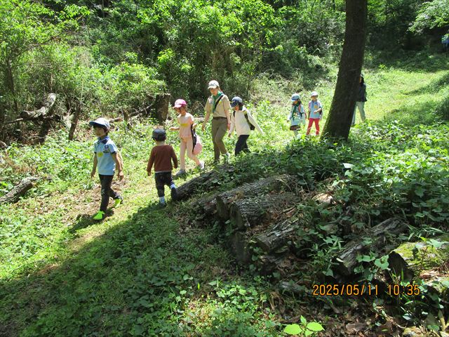 日野2団カブ隊の活動写真その4