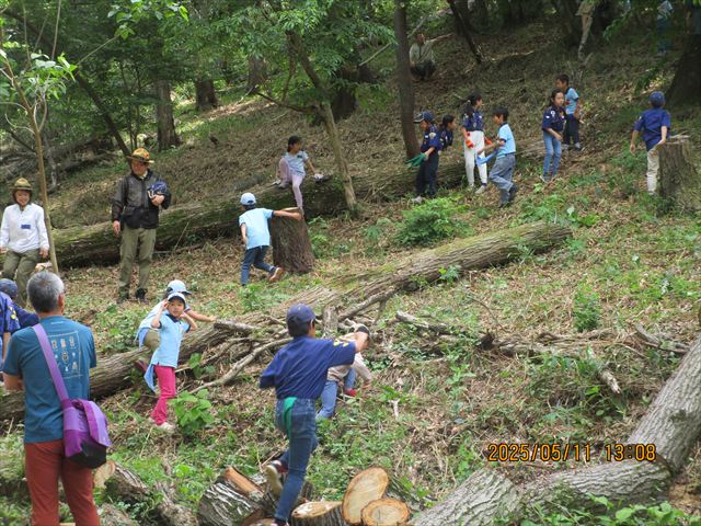日野2団カブ隊の活動写真その29