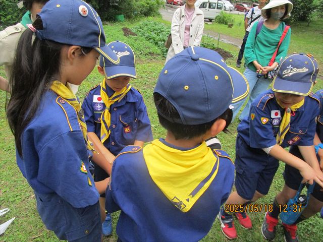 日野2団カブ隊の活動写真その34